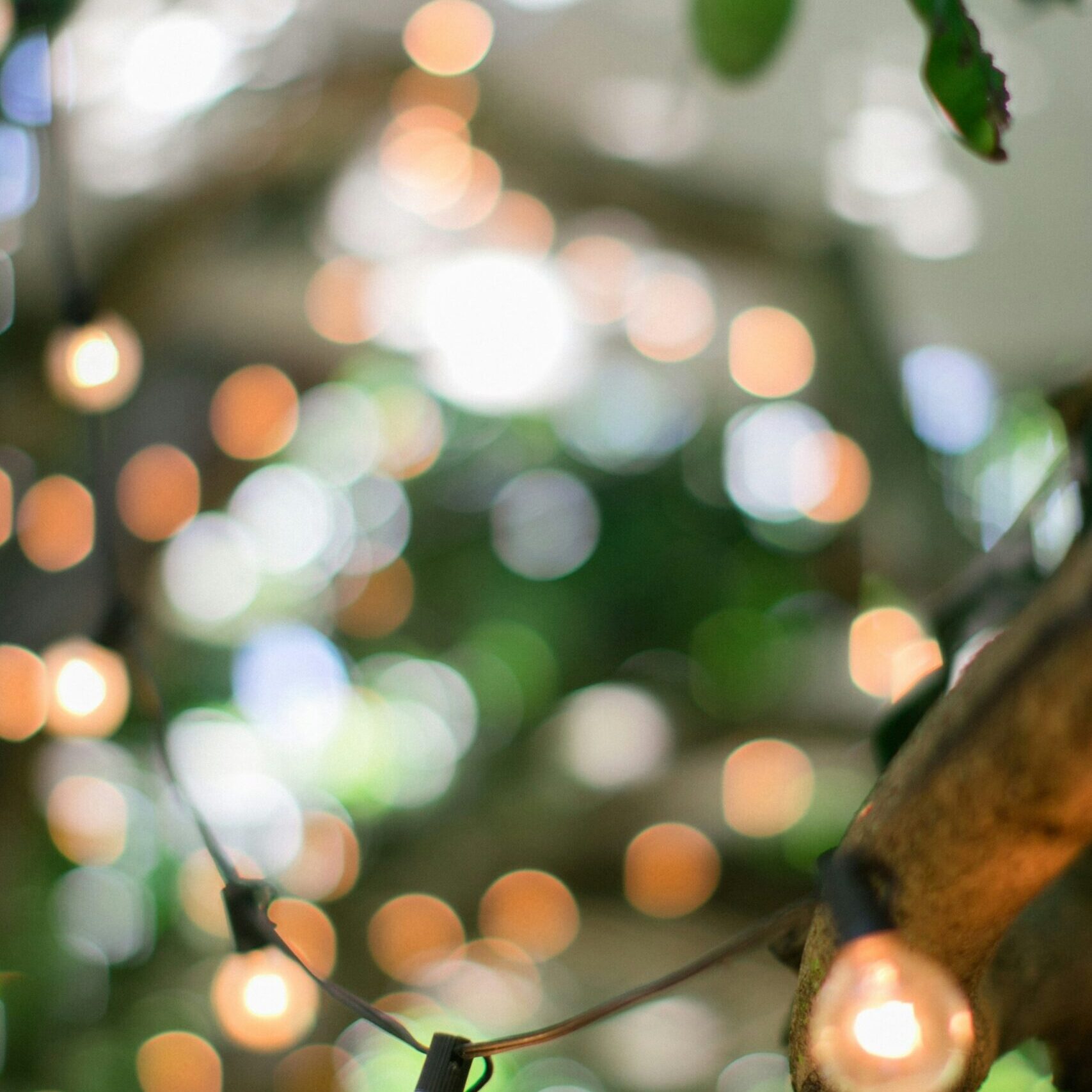 marissa-rodriguez-p7iBrf9I9iE-unsplash